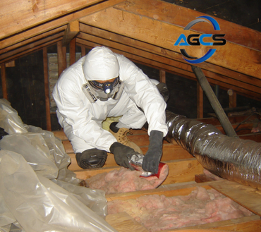 Asbestos Assesment