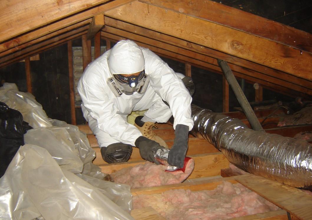 Asbestos Removal Service